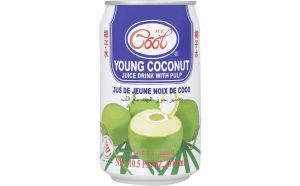 Ice Cool Young Coconut Juice 1x310ml Can
