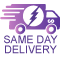 one day delivery